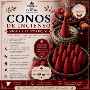 CONOS XL FRUTOS ROJOS