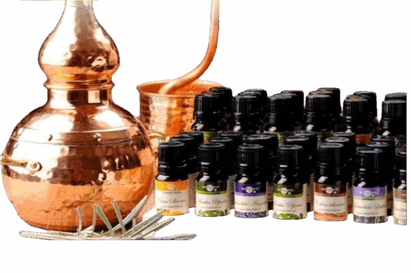 ACEITE ESENCIAL ESPLIEGO - Imagen 2