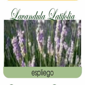 ACEITE ESENCIAL ESPLIEGO